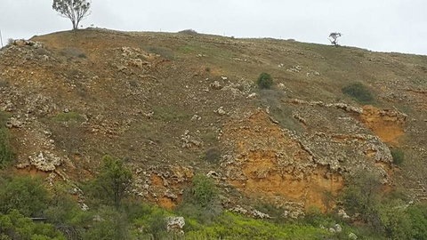 Murray River Riverboat Tour Including Lunch From Adelaide - QLD Tourism 7