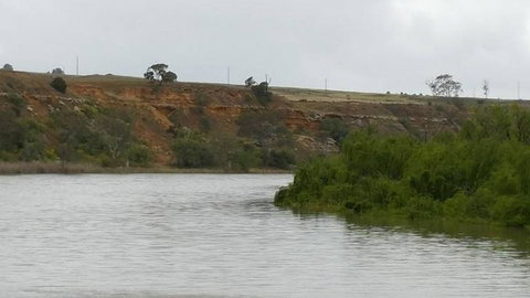 Murray River Riverboat Tour Including Lunch From Adelaide - QLD Tourism 6