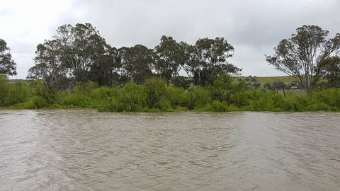 Murray River Riverboat Tour Including Lunch From Adelaide - QLD Tourism 10