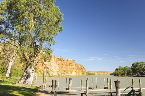 Murray River Riverboat Tour Including Lunch From Adelaide - QLD Tourism 1