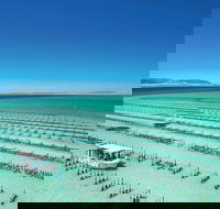 Coffin Bay Day Tour - A Taste of Coffin Bay - Queensland Tourism
