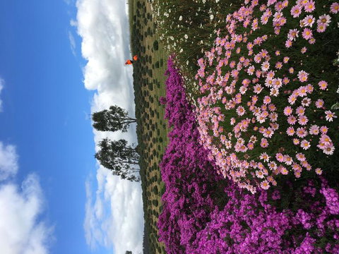 Small Group Gourmet Barossa Valley Day Trip From Adelaide - QLD Tourism 2