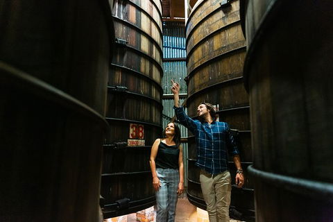 A Day Of Decadence At D'Arenberg - QLD Tourism 1