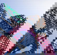 Gold Coast Theme Park Pass Warner Bros. Movie World Sea World and Wet'n'Wild - QLD Tourism