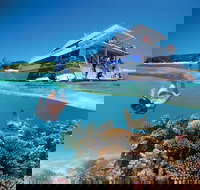 3-Day Southern Great Barrier Reef Tour Including Lady Musgrave Island - QLD Tourism