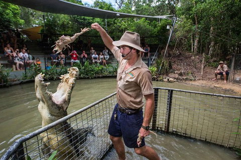 Full-Day Tour With Kuranda Scenic Railway, Skyrail Rainforest Cableway, And Hartley's Crocodile Adventures From Cairns - QLD Tourism 1