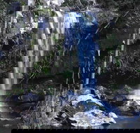 You Choose the Tour Brisbane Private Chauffeur Driven Personal Tour - QLD Tourism