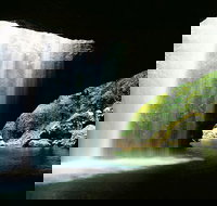 World Heritage Springbrook National Park Tour Including Natural Bridge - QLD Tourism