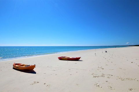 Fraser Island West Coast BBQ Lunch Cruise From Hervey Bay Including Kayaking And Swimming - Queensland Tourism 8