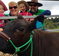 Mackay's Day in the Clouds Paddock to Plate Tour - QLD Tourism