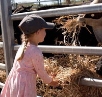 Mackay Farm Food and Flavours Tour - QLD Tourism