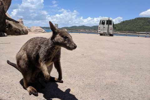 Magnetic Island Tour: Maggie Comprehensive - QLD Tourism 0