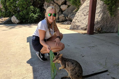 Magnetic Island Tour: Maggie Comprehensive - QLD Tourism 9