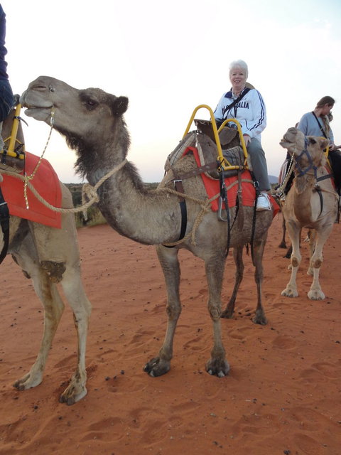 Uluru Small-Group Tour By Camel At Sunrise Or Sunset - QLD Tourism 2