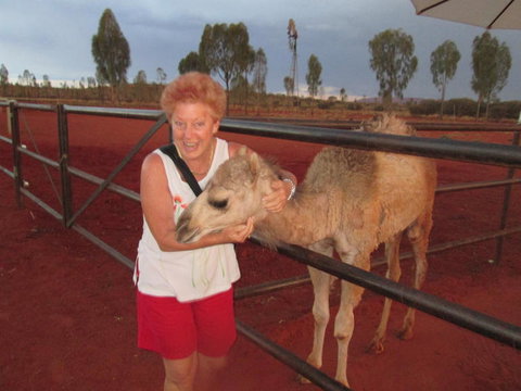 Uluru Small-Group Tour By Camel At Sunrise Or Sunset - QLD Tourism 18