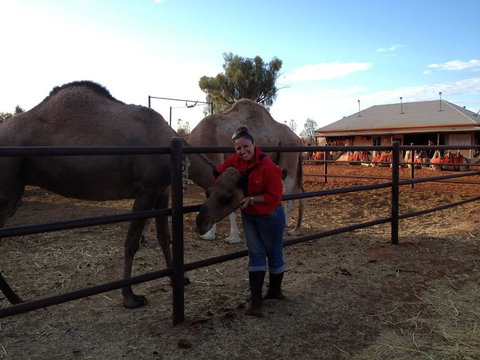 Uluru Small-Group Tour By Camel At Sunrise Or Sunset - QLD Tourism 21