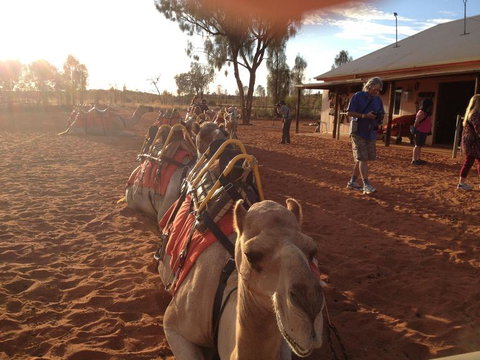 Uluru Small-Group Tour By Camel At Sunrise Or Sunset - QLD Tourism 22