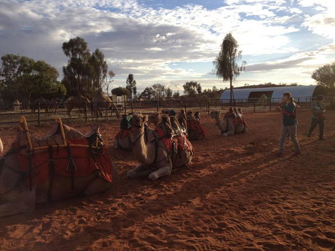 Uluru Small-Group Tour By Camel At Sunrise Or Sunset - QLD Tourism 23