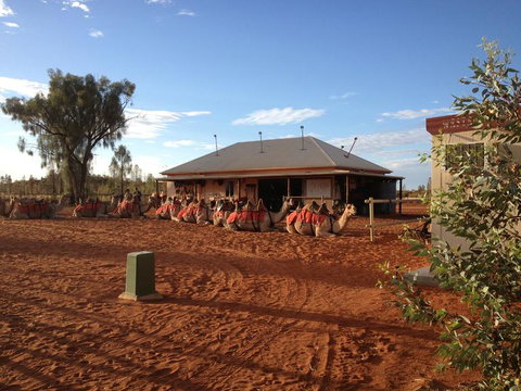 Uluru Small-Group Tour By Camel At Sunrise Or Sunset - QLD Tourism 20