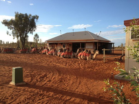 Uluru Small-Group Tour By Camel At Sunrise Or Sunset - QLD Tourism 19