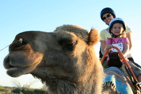 Uluru Small-Group Tour By Camel At Sunrise Or Sunset - QLD Tourism 3
