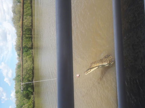 Darwin Jumping Crocodiles Cruise On Adelaide River - QLD Tourism 3