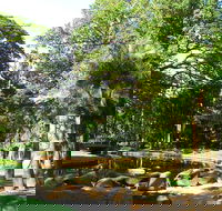 Darwin Afternoon Sightseeing Tour - QLD Tourism