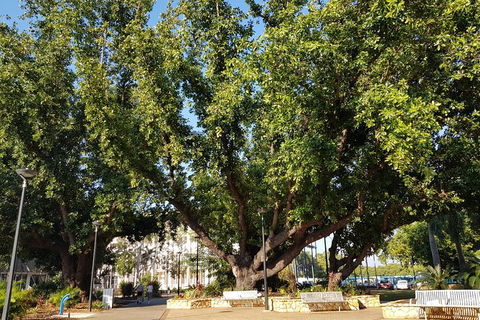 Darwin Heritage Walk - QLD Tourism 4