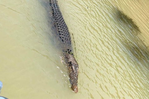 Kakadu National Park Scenic Flight & Cruise - QLD Tourism 11
