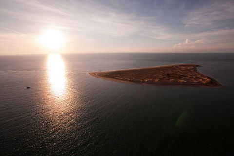 Turtle Tracks Tour To Bare Sand Island From Darwin - QLD Tourism 3