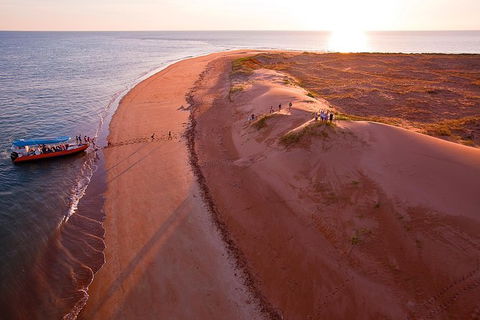 Turtle Tracks Tour To Bare Sand Island From Darwin - QLD Tourism 6