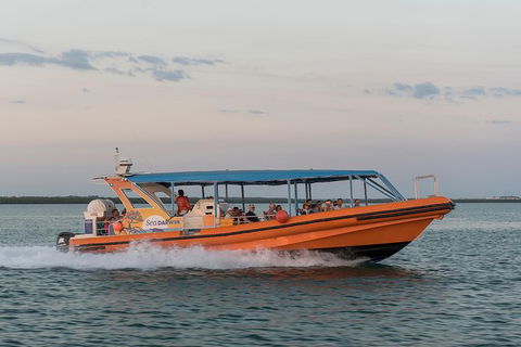 Turtle Tracks Tour To Bare Sand Island From Darwin - QLD Tourism 5