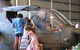 Darwin City Sightseeing Tour With Optional Sunset Cruise - thumb 6