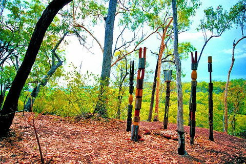 Tiwi Islands Cultural Experience From Darwin Including Ferry - QLD Tourism 1