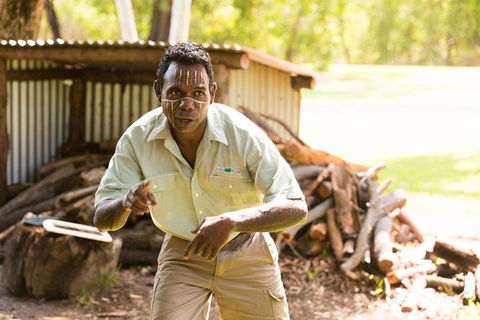 Tiwi Islands Cultural Experience From Darwin Including Ferry - QLD Tourism 5