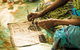 Tiwi Islands Cultural Experience From Darwin Including Ferry - thumb 7
