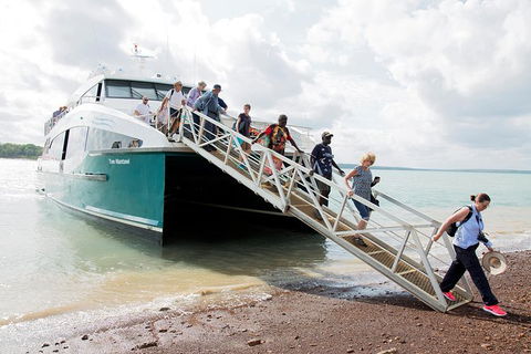 Tiwi Islands Cultural Experience From Darwin Including Ferry - QLD Tourism 9