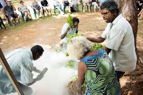 Tiwi Islands Cultural Experience From Darwin Including Ferry - QLD Tourism 10