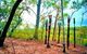 Tiwi Islands Cultural Experience From Darwin Including Ferry - thumb 8