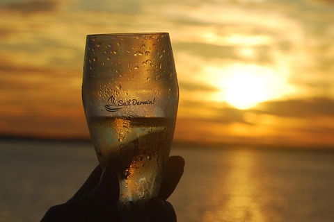Sunset 3-Hour Cruise From Darwin Includes Dinner And Sparkling Wine - QLD Tourism 1