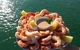 Sunset 3-Hour Cruise From Darwin Includes Dinner And Sparkling Wine - thumb 3