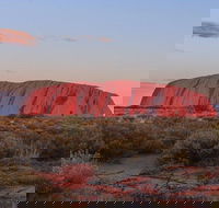 3-Day Uluru Camping Tour from Alice Springs Including Kata Tjuta and Kings Canyon - QLD Tourism