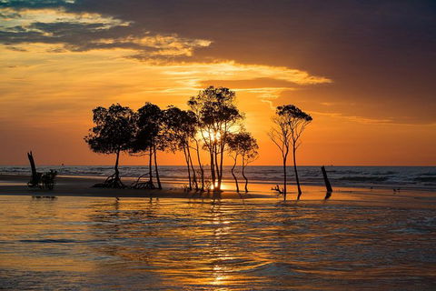 Darwin Self-Guided Audio Tour - QLD Tourism 2
