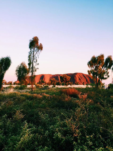 Uluru & Kata Tjuta Sights & Sounds - QLD Tourism 3