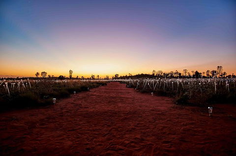Uluru & Kata Tjuta Sights & Sounds - QLD Tourism 16