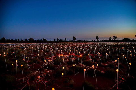 Uluru & Kata Tjuta Sights & Sounds - QLD Tourism 8