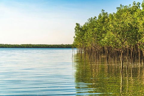 1 Hour Darwin Airboat Tours - QLD Tourism 7