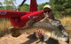 HeliFish Tours From Darwin - thumb 5