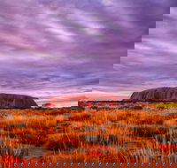 4-Day Camping Trip from Ayers Rock Including Uluru Kata Tjuta and Kings Canyon - Queensland Tourism