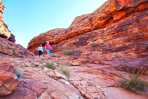 3-Day Tour From Uluru (Ayers Rock) To Alice Springs Via Kings Canyon - Queensland Tourism 27